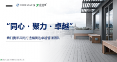 对分歧生命周期阶段企业的成长特点
